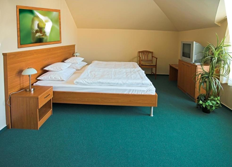 Hotel Promedicum Panzio Veszprém Camera foto